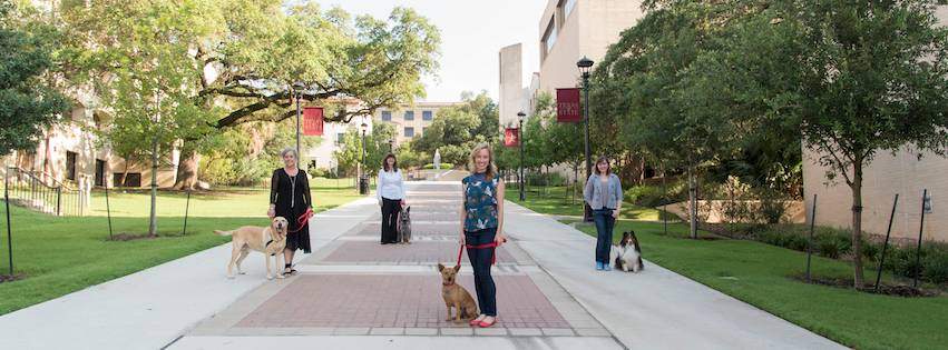 Animal-Assisted Counseling Academy : Texas State University
