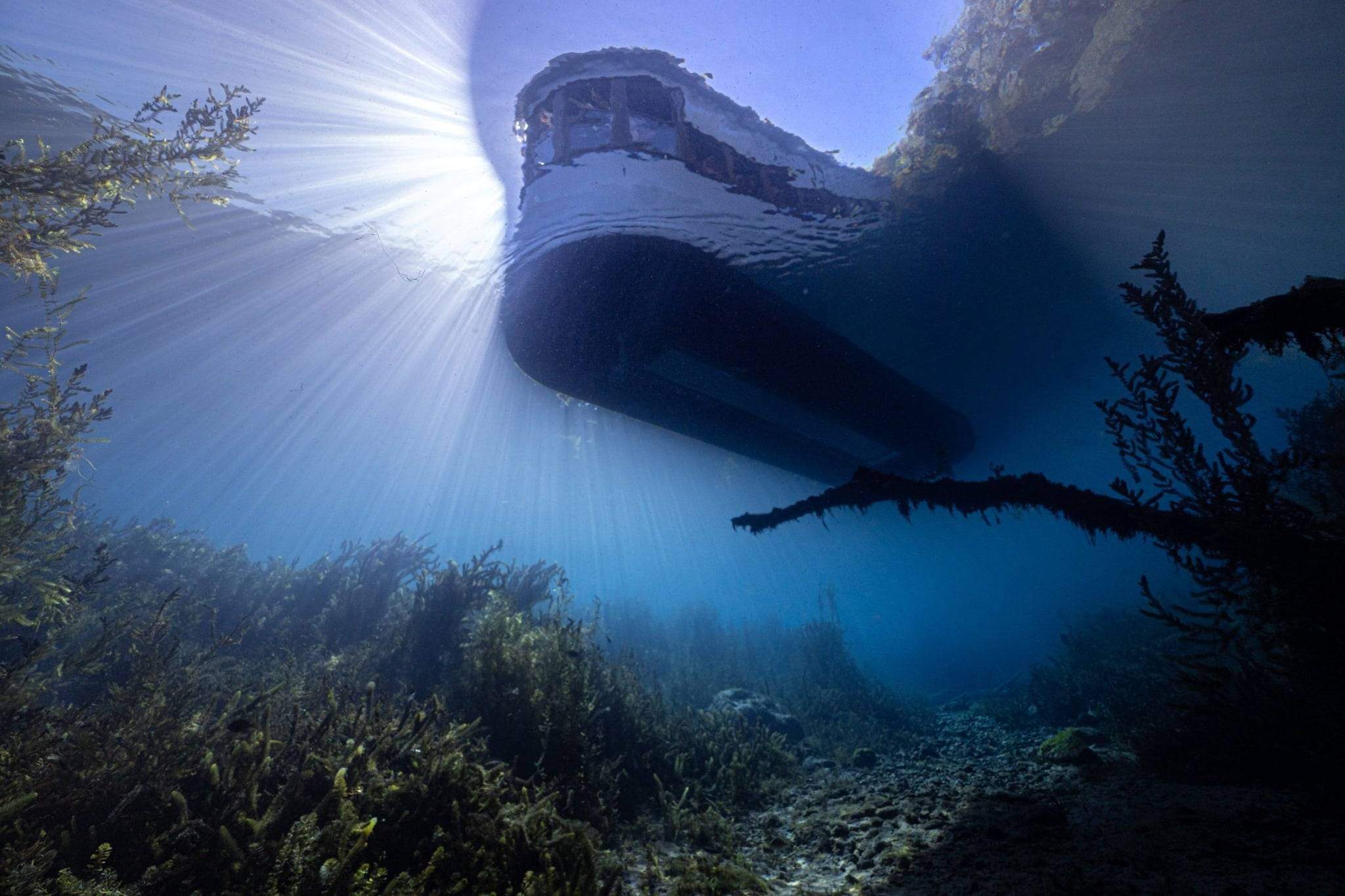 underwater view of glass-bottom boat