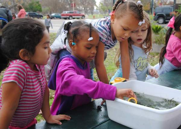 Spring Lake Outdoor Academy: Aquatic Adventure - Testing the Waters!