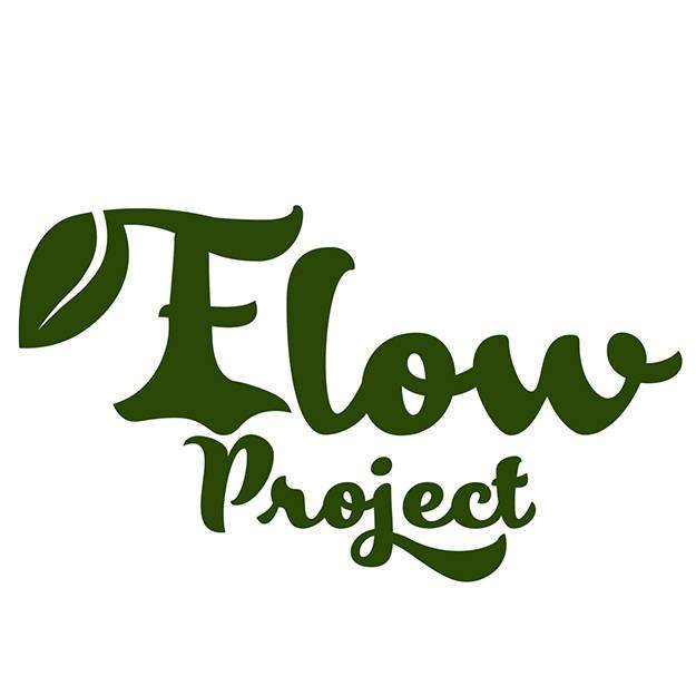 the flow project logo
