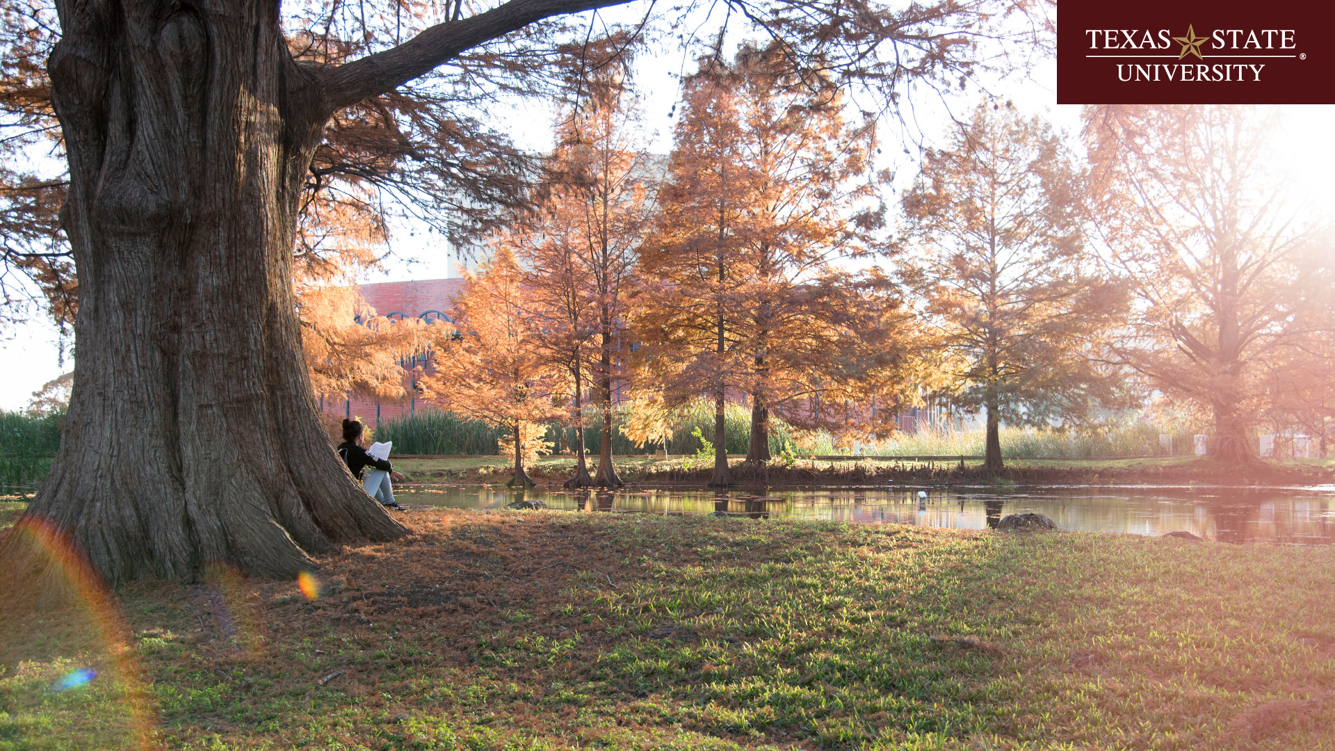 Student sits by a tree at the ponds