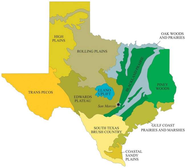 Regional Map of Texas