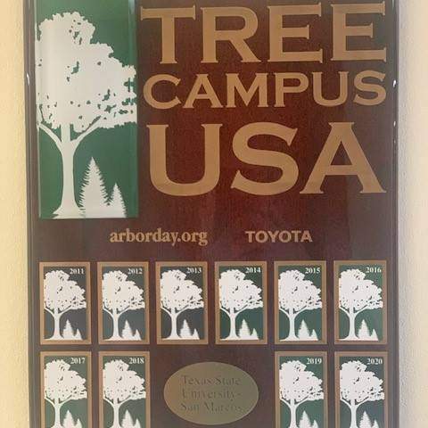 Tree campus frame