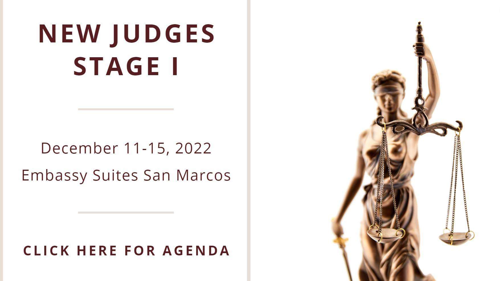 New Judges Stage I with lady justice