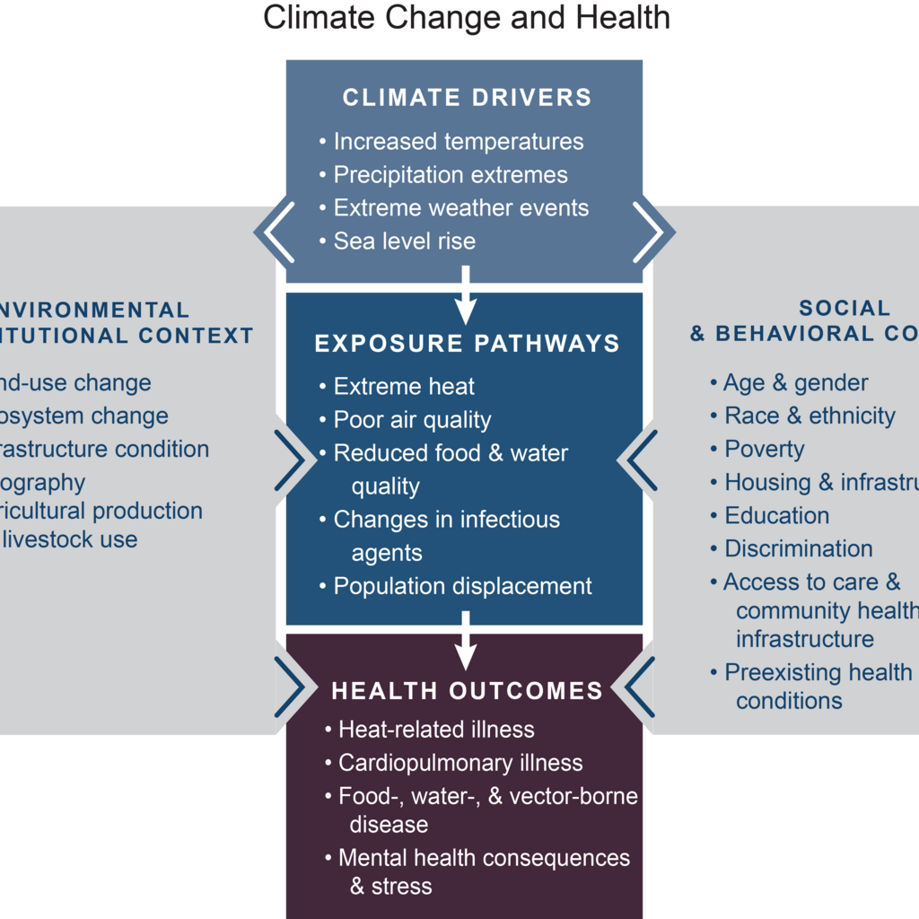 conceptual diagram of the exposure pathways by which climate change could affect human health