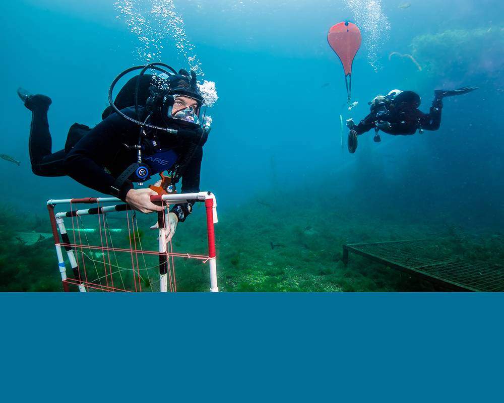 Scuba divers in Spring Lake with stripe of blue color