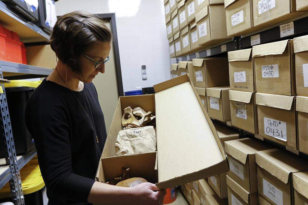 woman looking into a box filled with skeletal remains