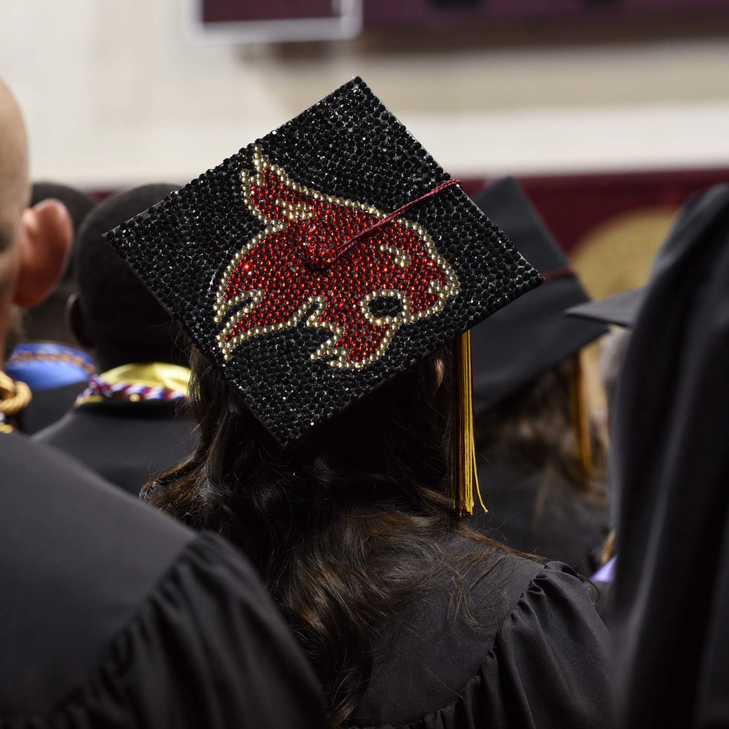 decorated graduation cap (bobcat)
