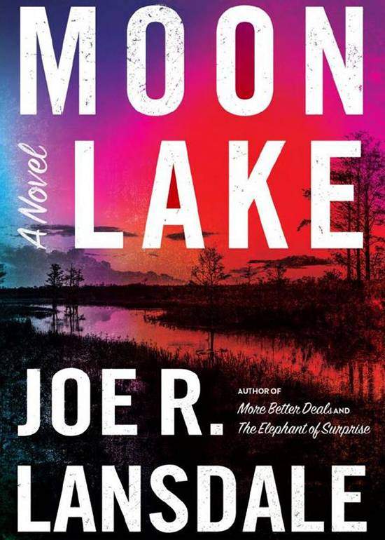 Moon Lake, Book Cover