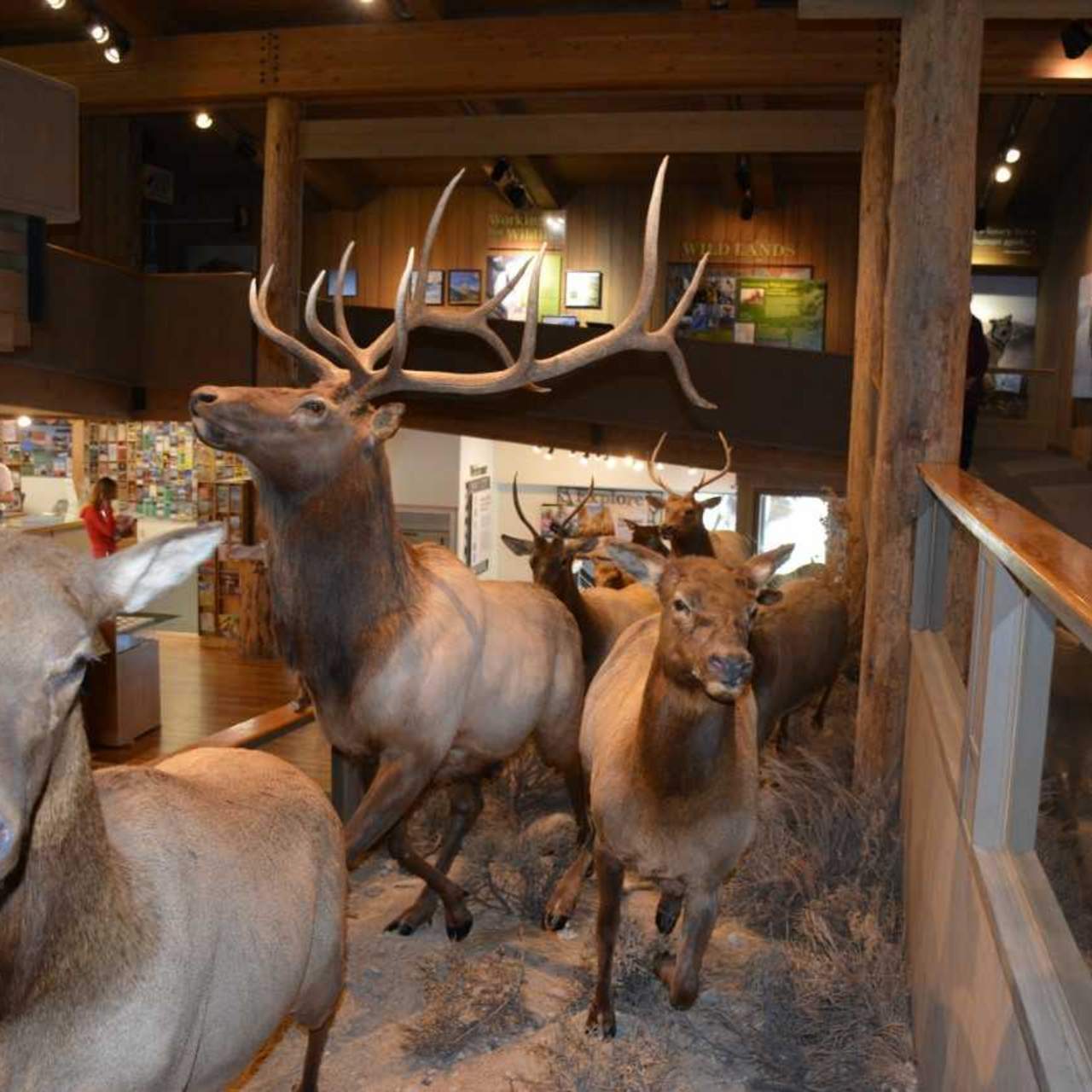 National Elk Wildlife Refuge Interpretation Center