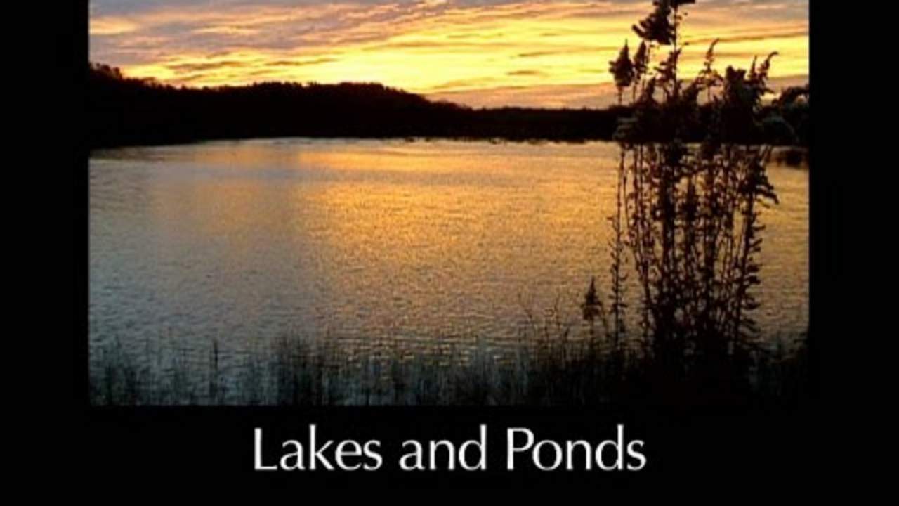 Lakes and Ponds – Lesson 9