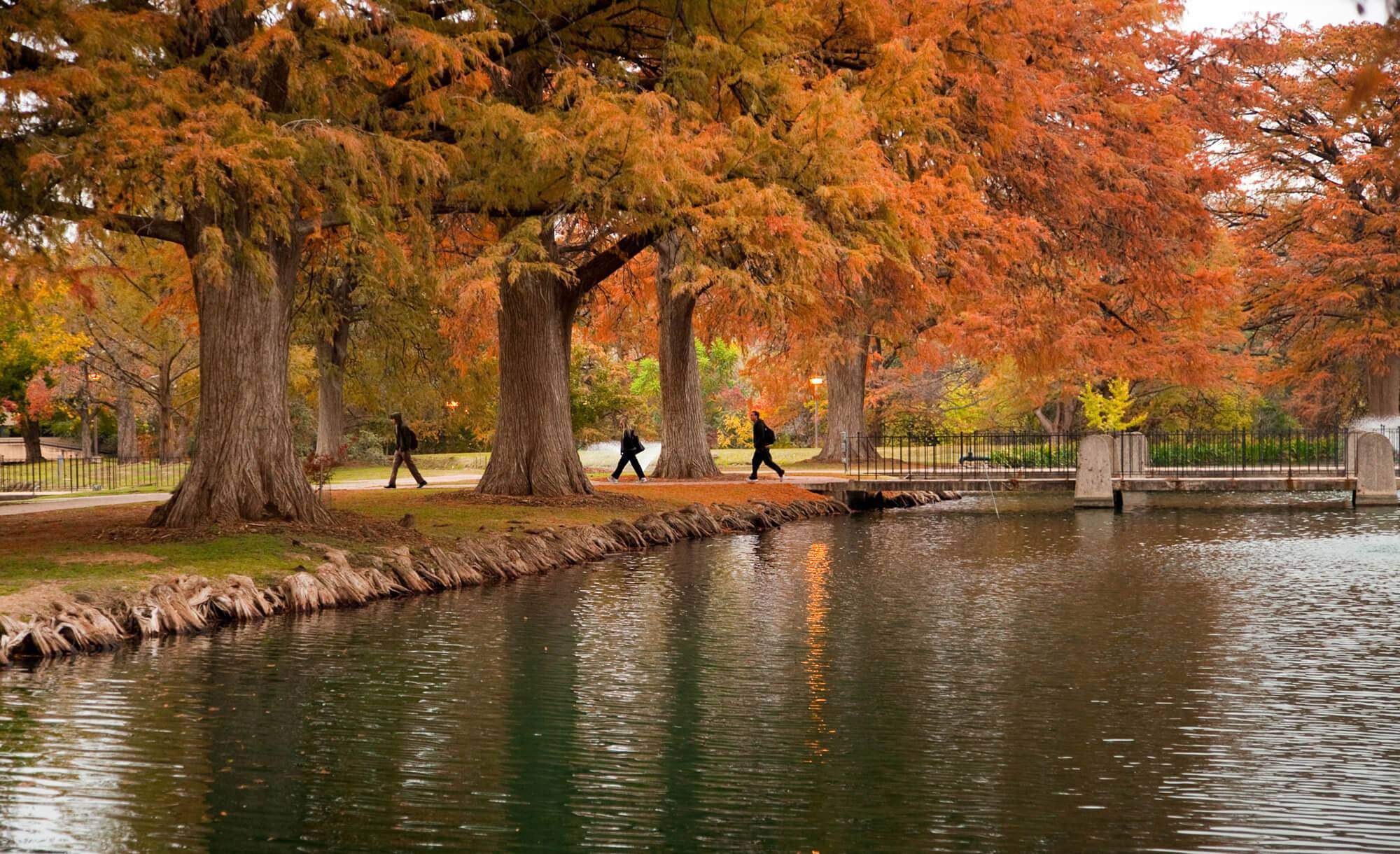 Students walking by a pond during the Autumn season. 