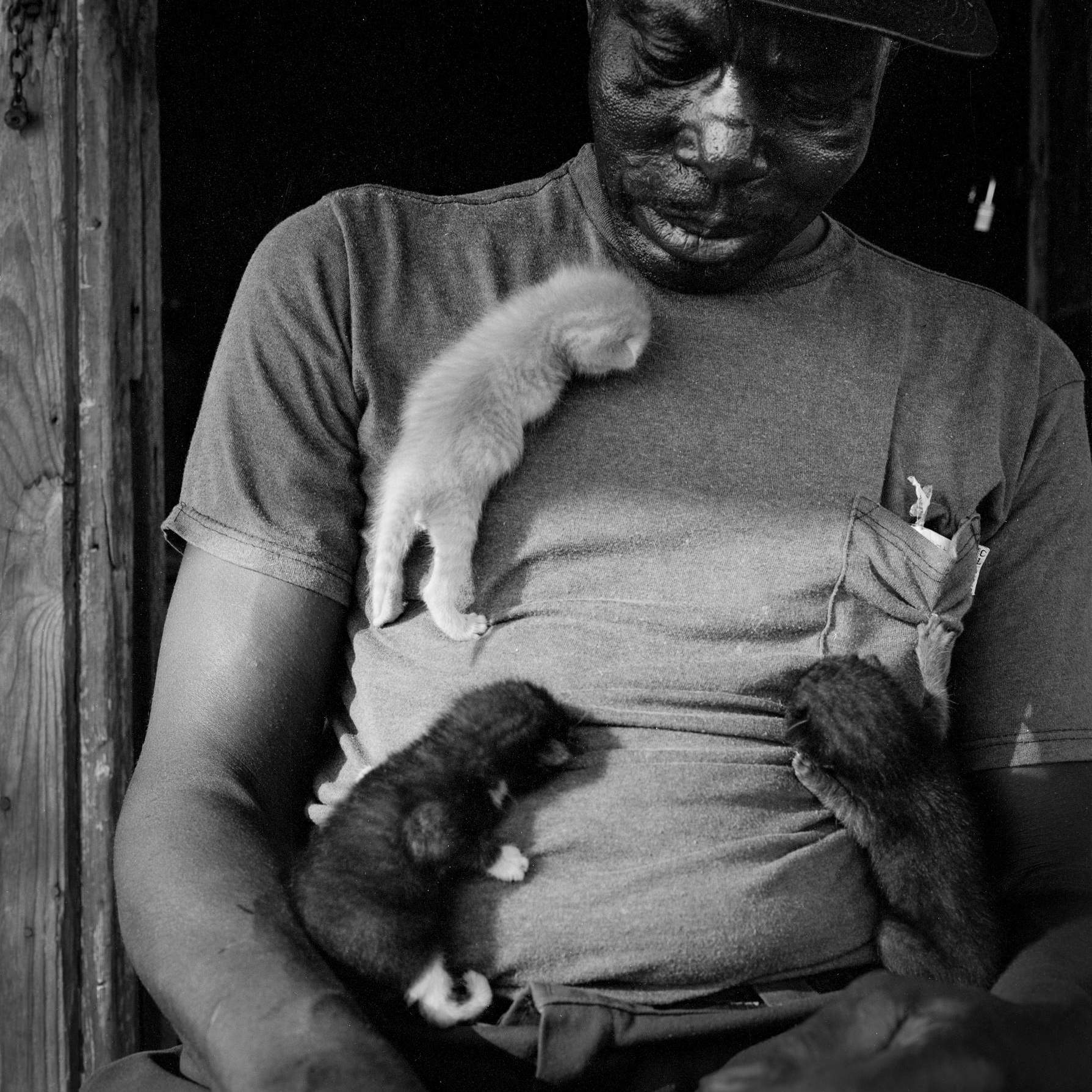 Photo of man with kittens