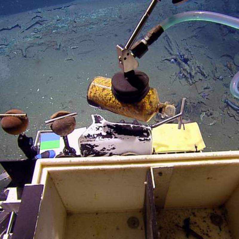 The Remotely Operated Vehicle (ROV) Hercules gently recovers a medicine bottle filled with ginger, a seasickness remedy, from an early 19th century shipwreck recently documented and partially excavated in the Gulf of Mexico in more than 4,300 feet of water.  The wreck is one of three sites investigated by scientists from the Bureau of Ocean Energy Management, the National Oceanic and Atmospheric Administration, the Bureau of Safety and Environmental Enforcement, the Texas Historical Commission, and the Meadows Center for Water and the Environment at Texas State University.  The project was funded by donations and sponsorships arranged by the Meadows Center, and conducted in partnership with the Ocean Exploration Trust at the University of Rhode Island on board the Exploration Vessel Nautilus. (Ocean Exploration Trust/Meadows Center for Water and the Environment, Texas State)