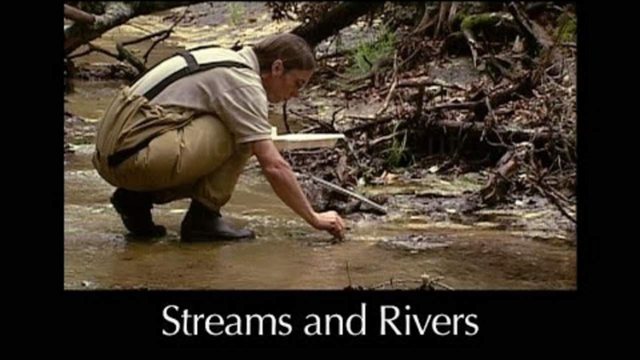 Rivers and Streams – Lesson 8