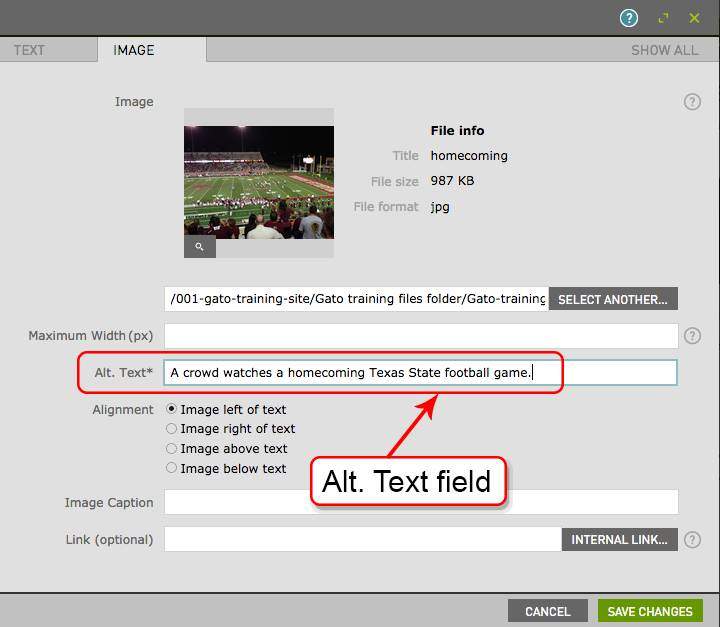 The Alt Text field in the Text and Image content type is shown with an alt text description entered into the available text field.