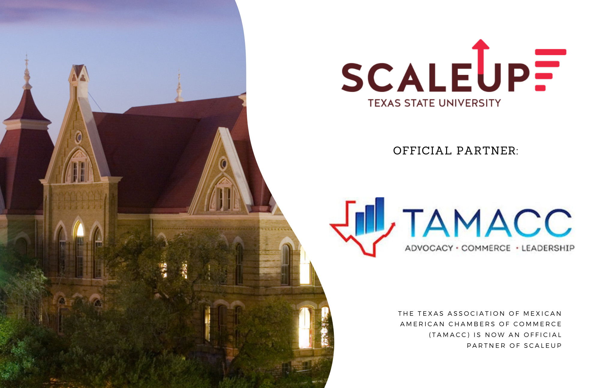 Partnership announcement between SCALEUP and TAMACC