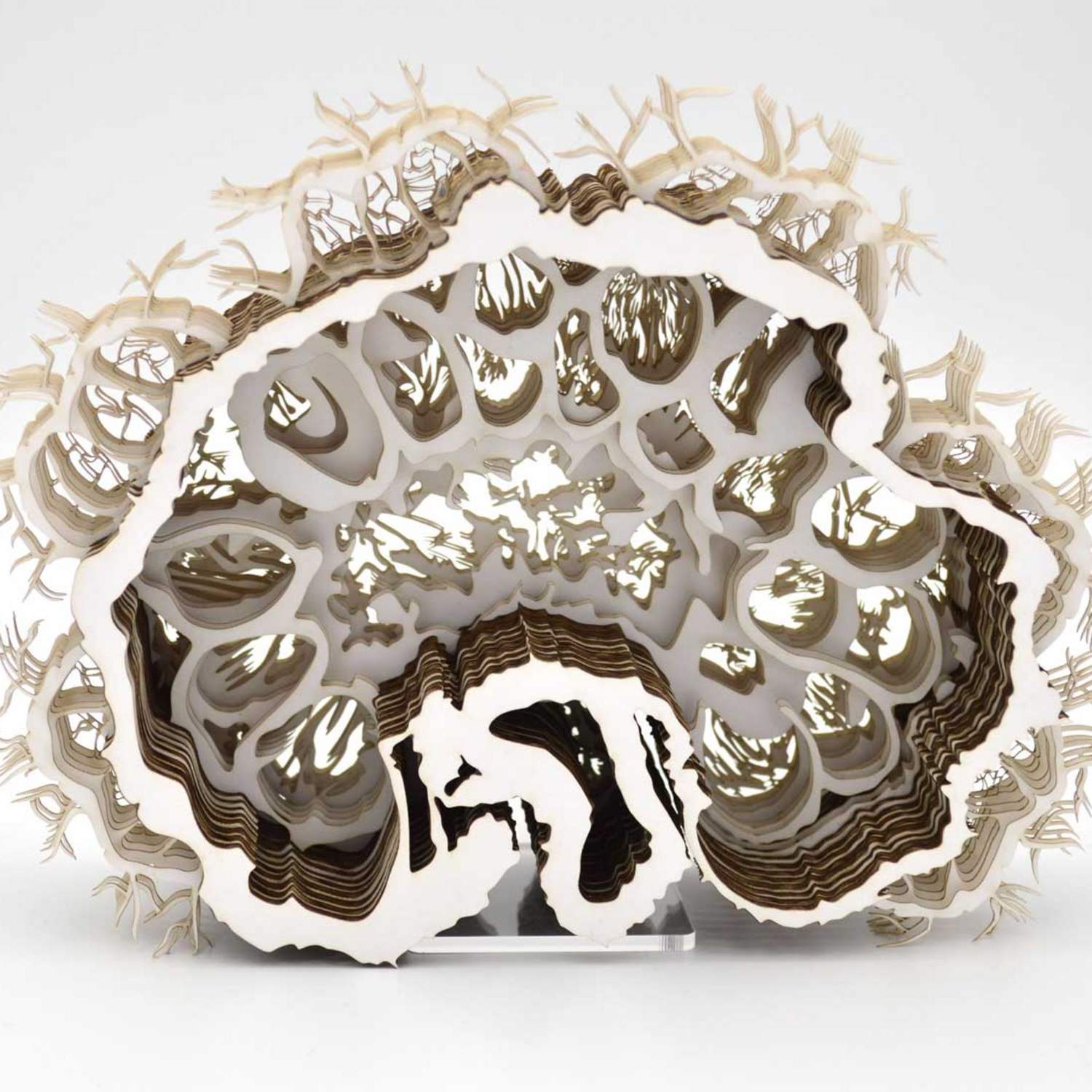 A human brain made out of paper