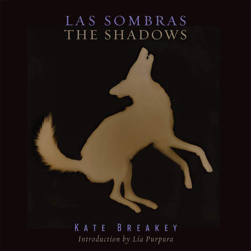 Las Sombras / The Shadows by Kate Breakey book cover