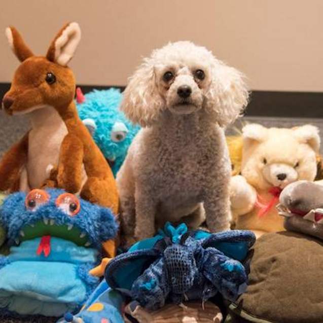 Sofie with puppets