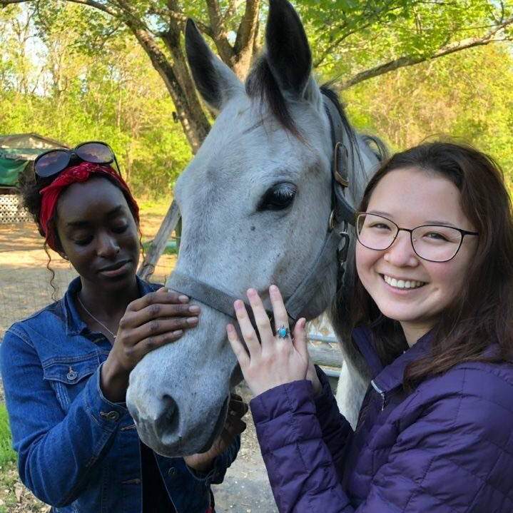 students and horse