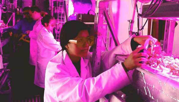 young woman working in hydroponic lab