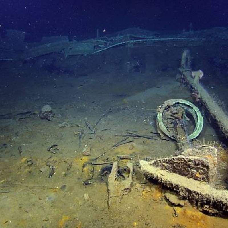 Lying next to an anchor are the remains of the ship’s helm and steering wheel from a third shipwreck just discovered in the Gulf of Mexico in more than 4,300 feet of water.  The wreck is one of three sites investigated by scientists from the Bureau of Ocean Energy Management, the National Oceanic and Atmospheric Administration, the Bureau of Safety and Environmental Enforcement, the Texas Historical Commission, and the Meadows Center for Water and the Environment at Texas State University.  The project was funded by donations and sponsorships arranged by the Meadows Center, and conducted in partnership with the Ocean Exploration Trust at the University of Rhode Island on board the Exploration Vessel Nautilus. (Ocean Exploration Trust/Meadows Center for Water and the Environment, Texas State)