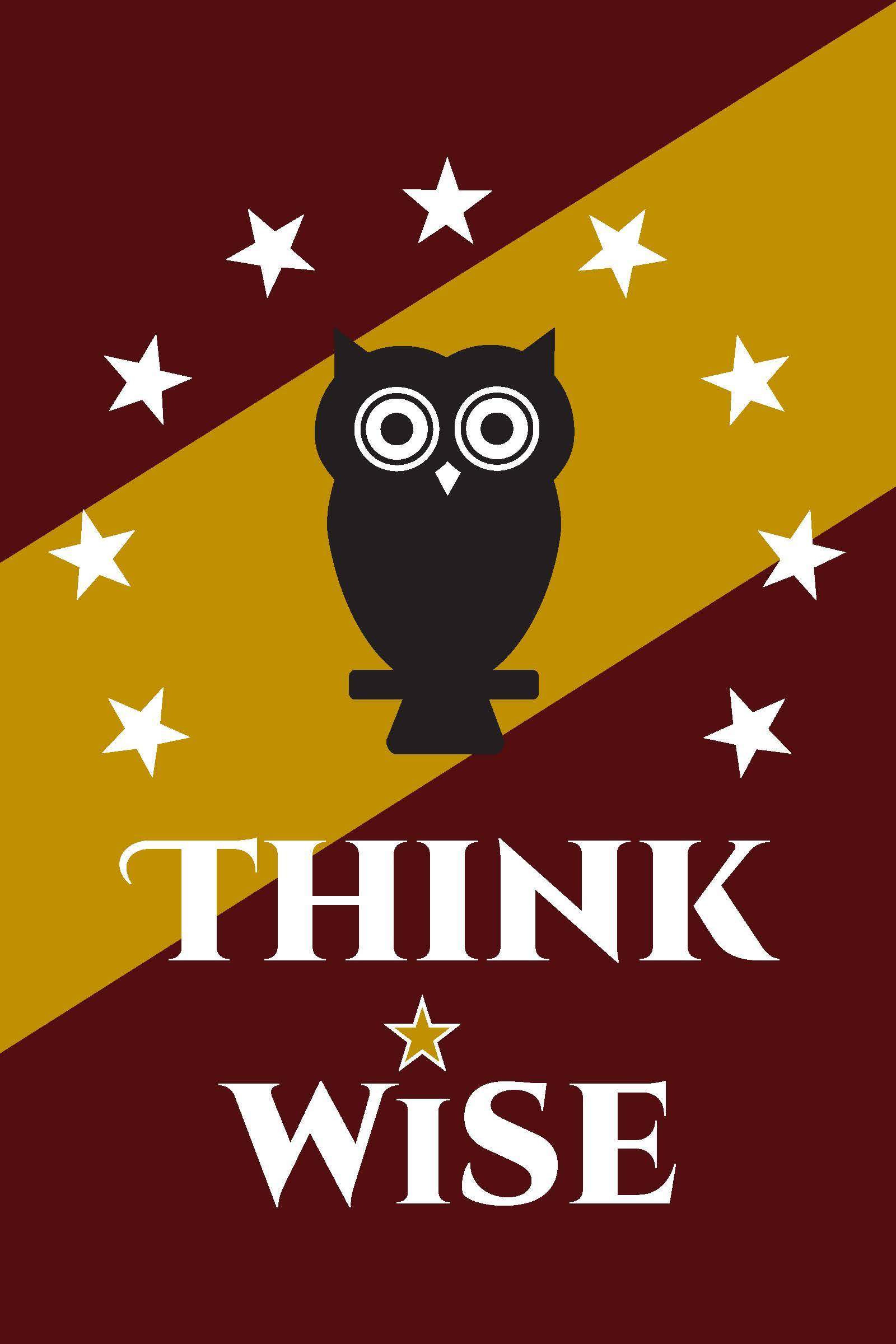 think wise flag