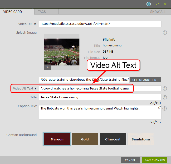 A video card's settings are shown with the video alt text field highlighted.