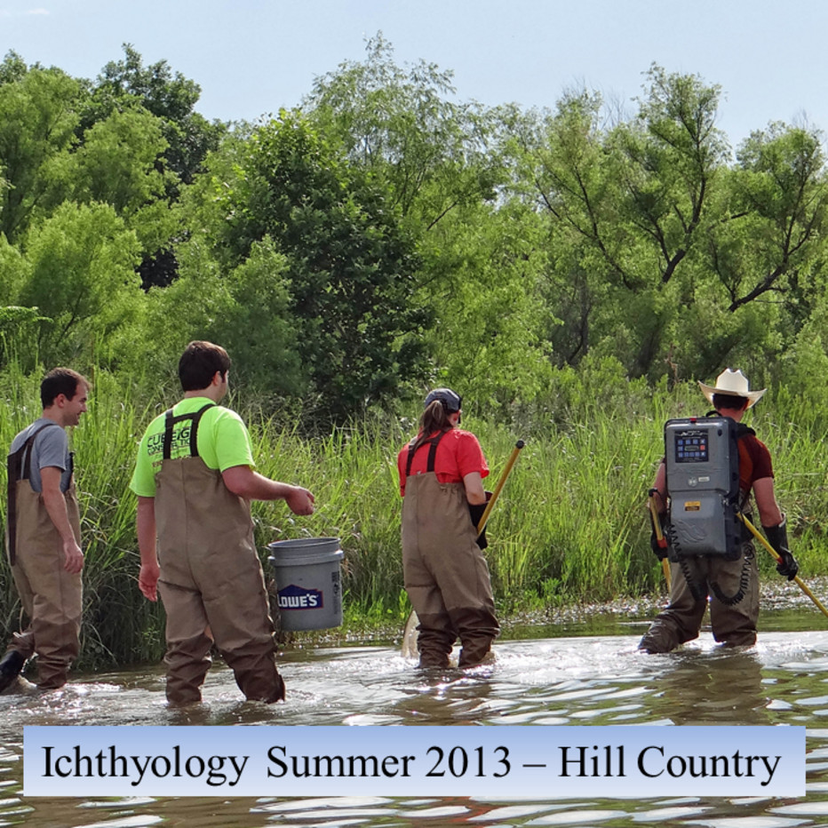 Summer 2013 Ichthyology