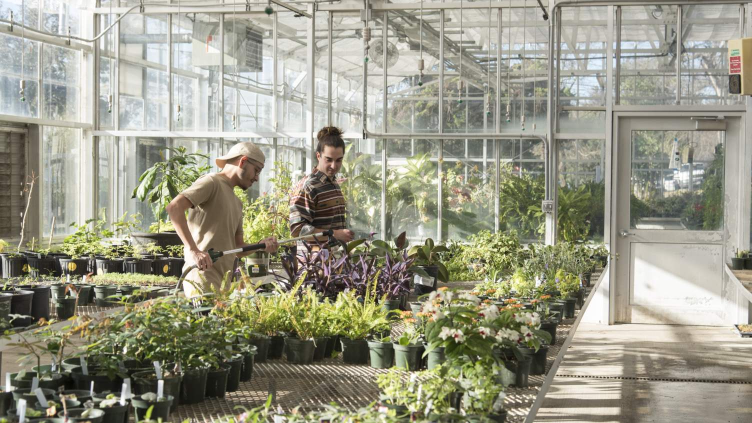 Abschluss in Gartenbau-Botanik an der San Diego National University