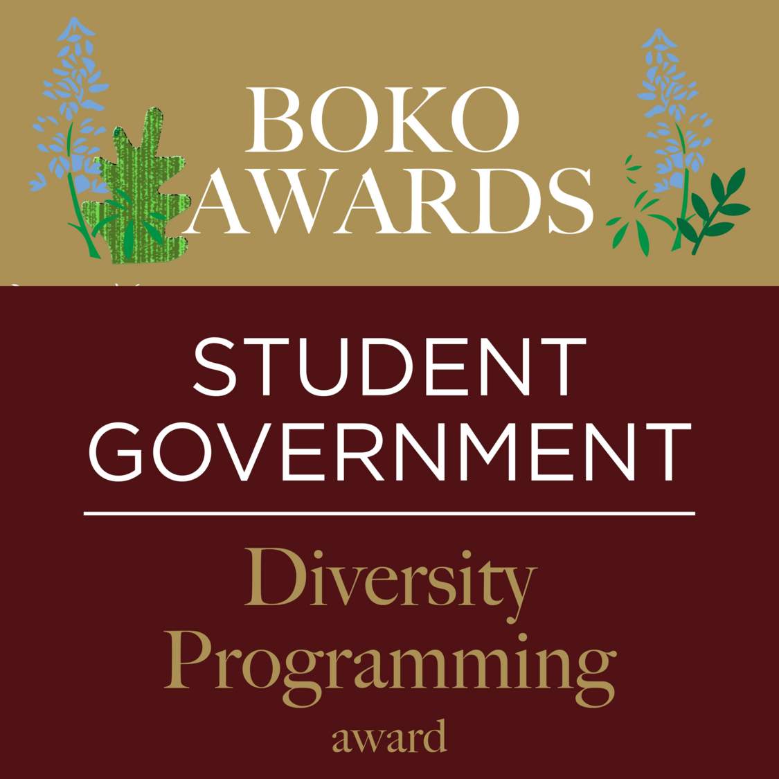 Picture of text displaying that Student Government won the Diversity Programming award.