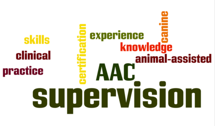AAC supervision wordle