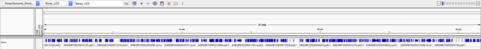 Snapshot of IGV Genome Browser