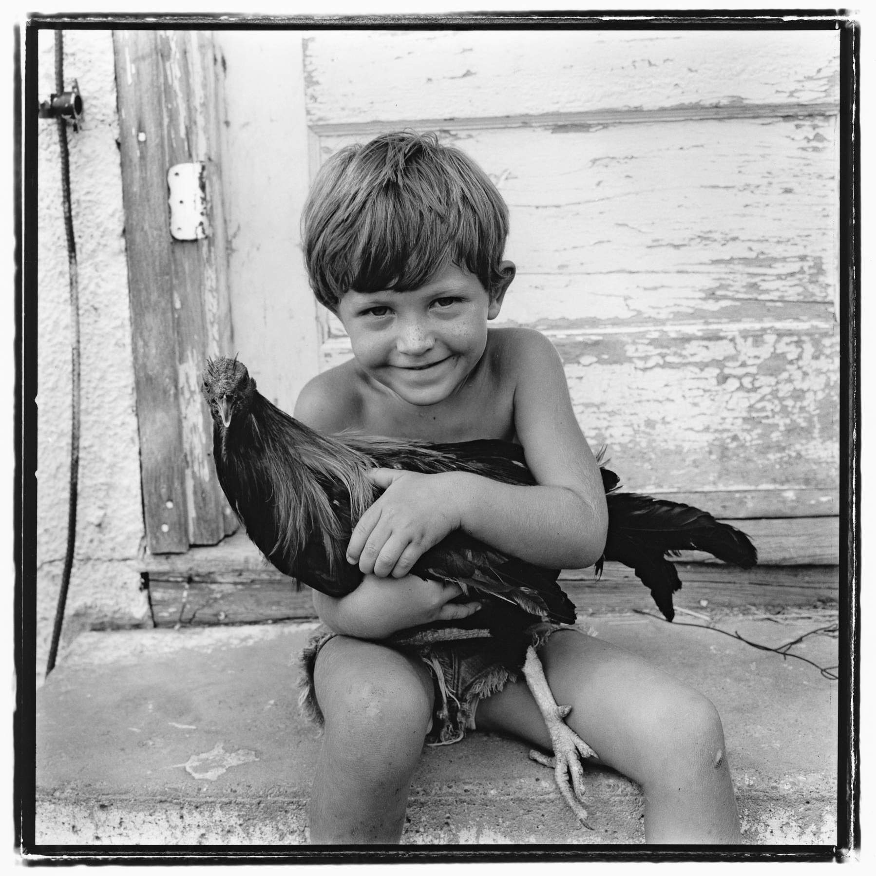 Photo of boy holding a chicken