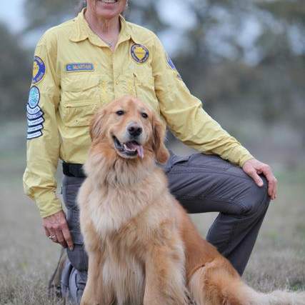 Search dog and trainer
