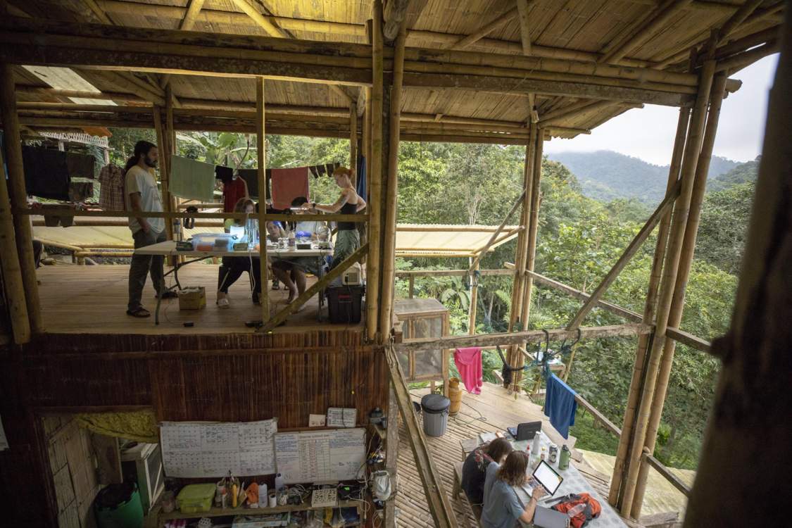 Scientists work in an open-air lab at the top of a bamboo structure