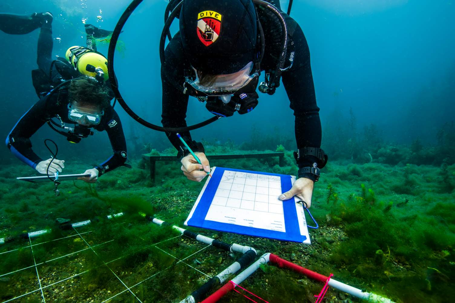 Underwater diver conducting testing