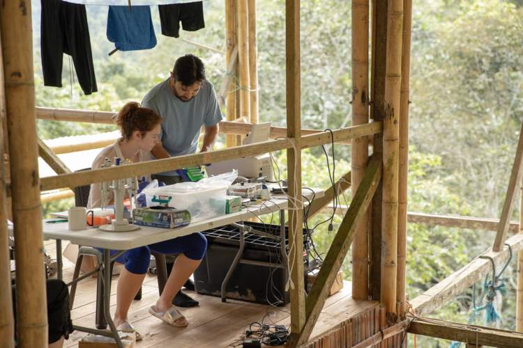 Two researchers work at a lab table in the Bamboo House