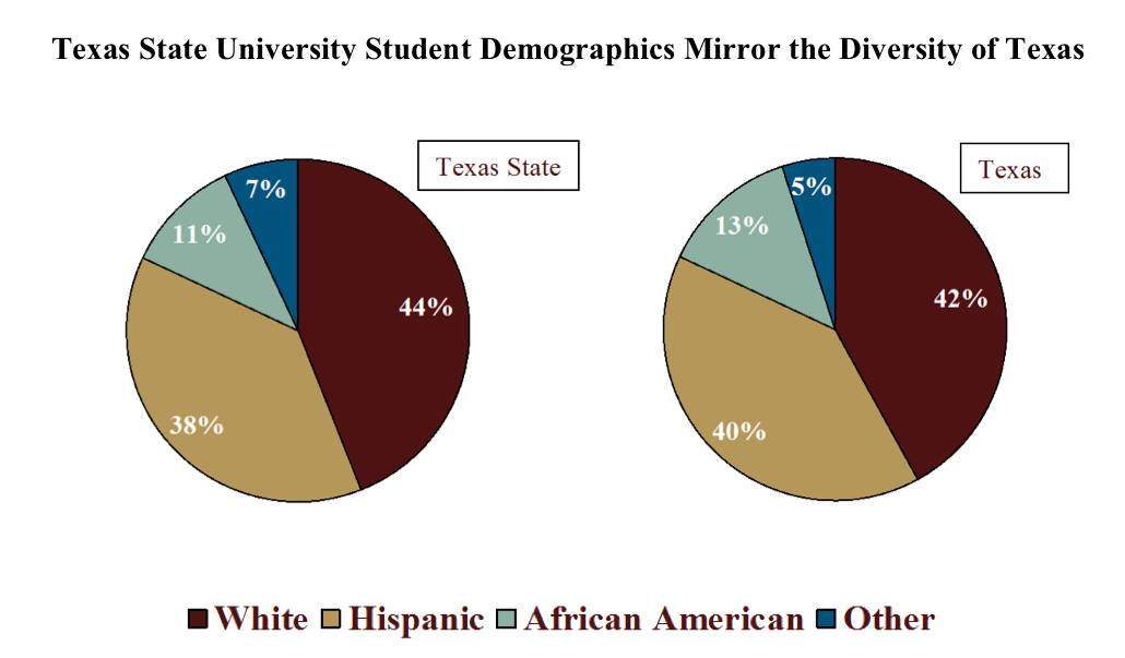 two pie charts showing demographics
