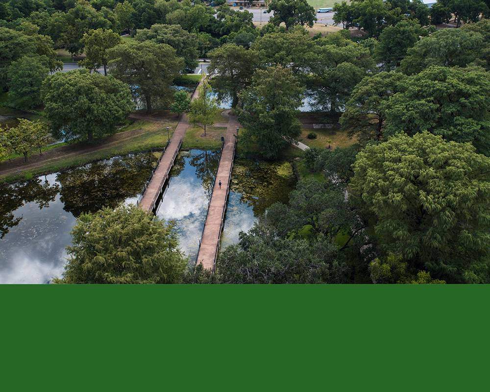 Aerial view of campus Cypress trees with stripe of deep green color