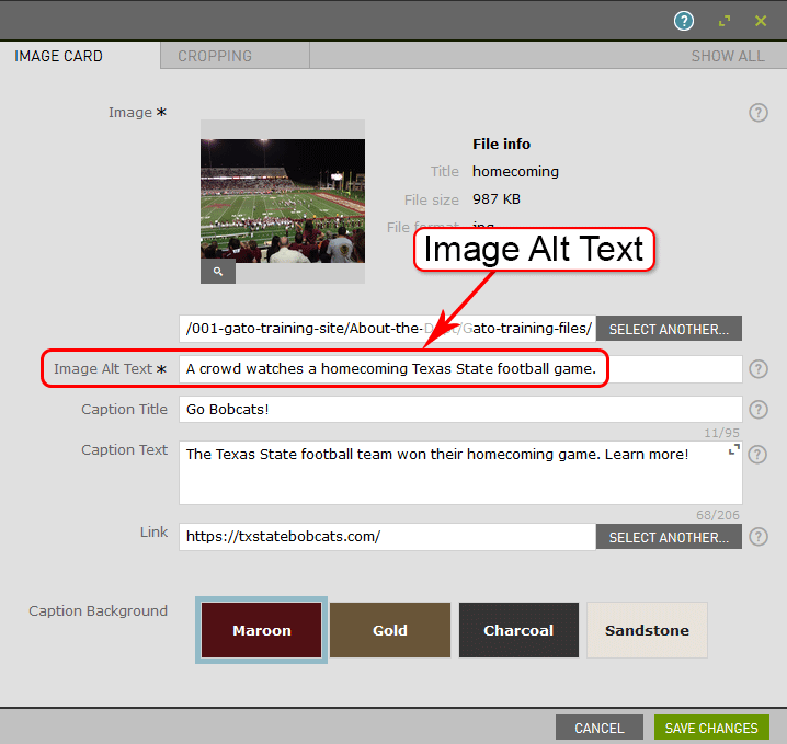A screenshot of the image card settings are shown with the image alt text field highlighted.