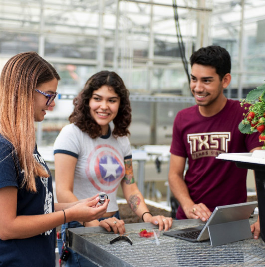 Students in the greenhouse with technology